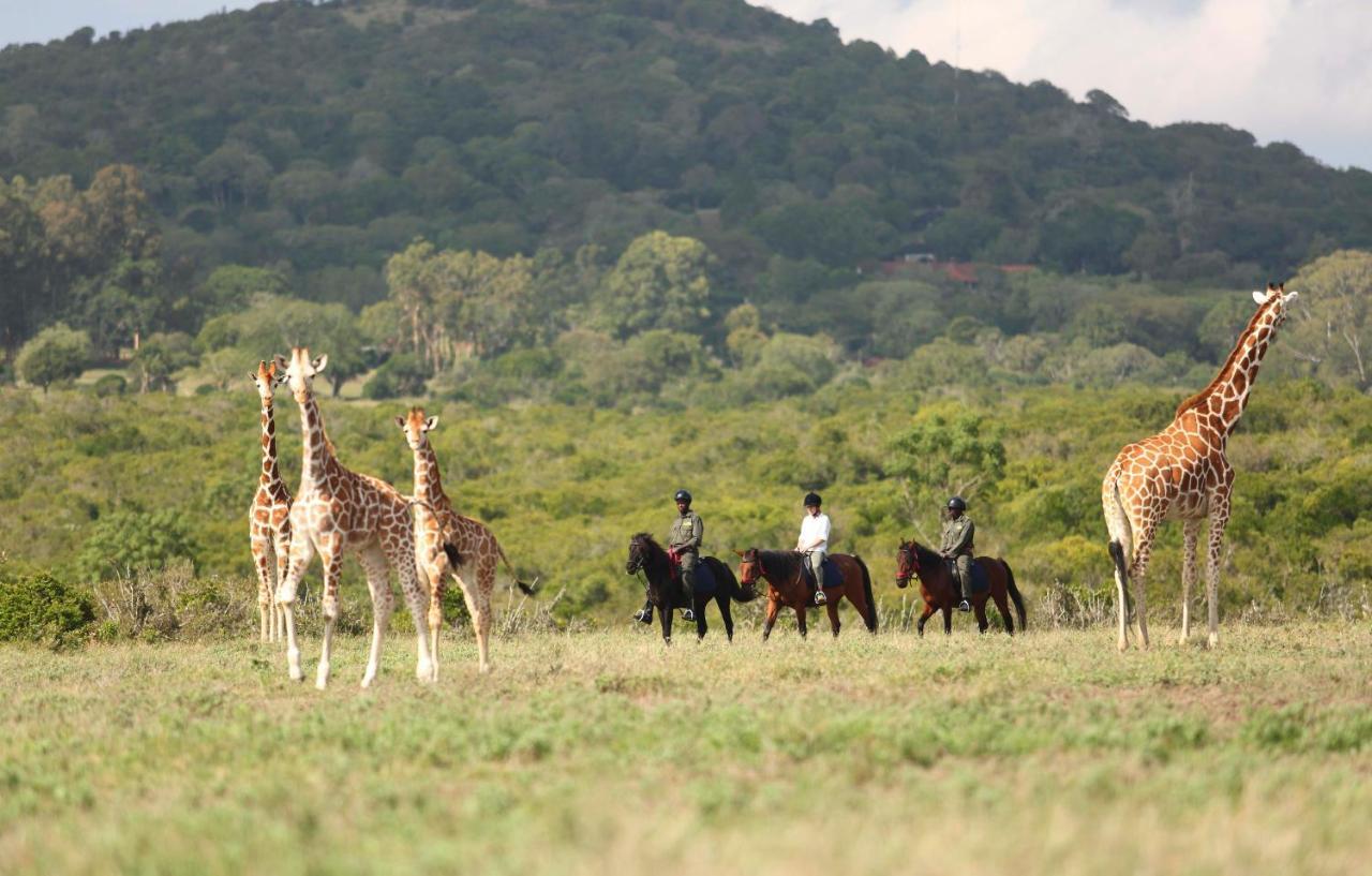 The Aberdare Country Club Hotel Mweiga Luaran gambar