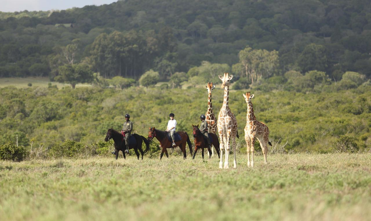 The Aberdare Country Club Hotel Mweiga Luaran gambar