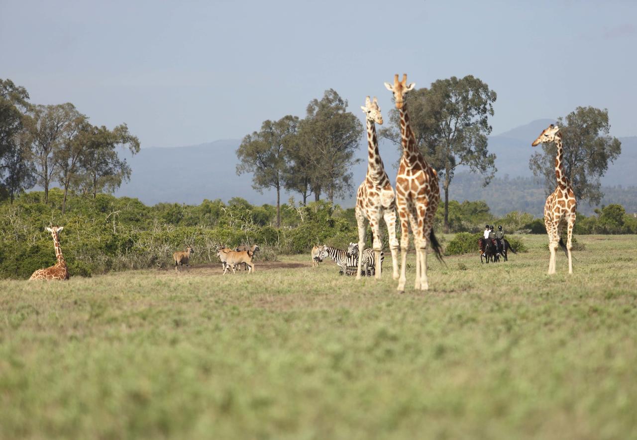 The Aberdare Country Club Hotel Mweiga Luaran gambar