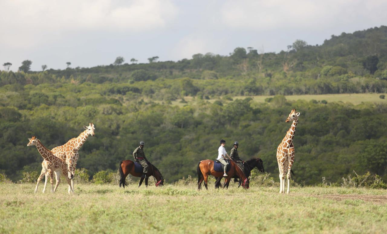 The Aberdare Country Club Hotel Mweiga Luaran gambar